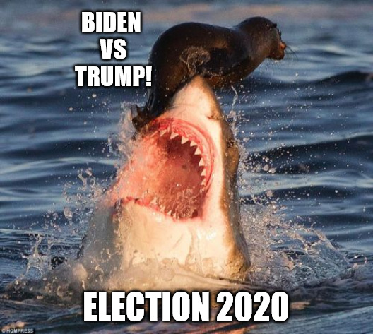 Save the economy! | BIDEN 
VS
TRUMP! ELECTION 2020 | image tagged in memes,election 2020,political meme,trump,funny memes | made w/ Imgflip meme maker