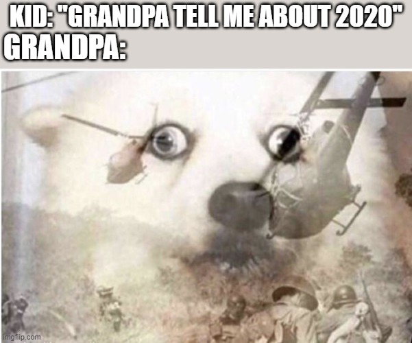 Vietnam dog | KID: "GRANDPA TELL ME ABOUT 2020"; GRANDPA: | image tagged in vietnam dog,apocalypse,2020,flashback | made w/ Imgflip meme maker