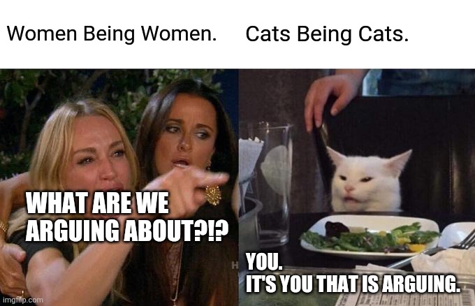 Woman Yelling At Cat | Women Being Women. Cats Being Cats. WHAT ARE WE ARGUING ABOUT?!? YOU.
IT'S YOU THAT IS ARGUING. | image tagged in memes,woman yelling at cat | made w/ Imgflip meme maker