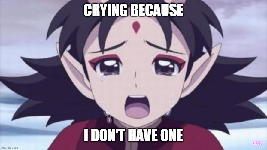 Awoken Natsume Crying | CRYING BECAUSE I DON'T HAVE ONE | image tagged in awoken natsume crying | made w/ Imgflip meme maker
