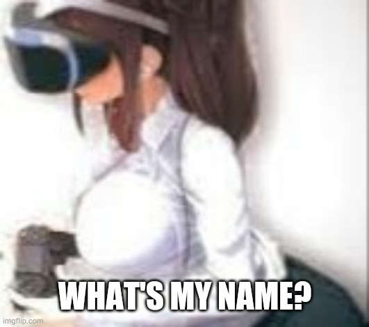 Cute anime girl with VR glasses holding a PlayStation controller | WHAT'S MY NAME? | image tagged in cute anime girl with vr glasses holding a playstation controller | made w/ Imgflip meme maker
