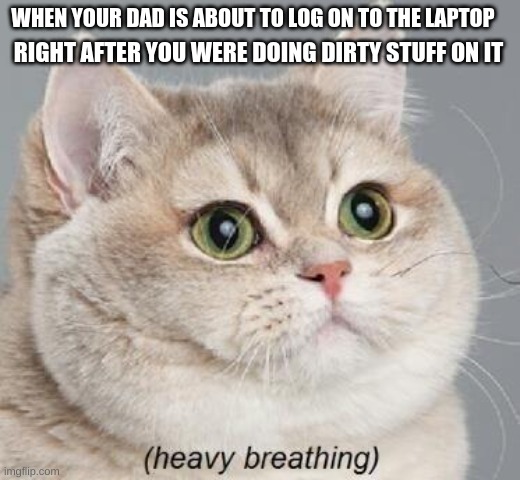 Heavy Breathing Cat | RIGHT AFTER YOU WERE DOING DIRTY STUFF ON IT; WHEN YOUR DAD IS ABOUT TO LOG ON TO THE LAPTOP | image tagged in memes,heavy breathing cat | made w/ Imgflip meme maker