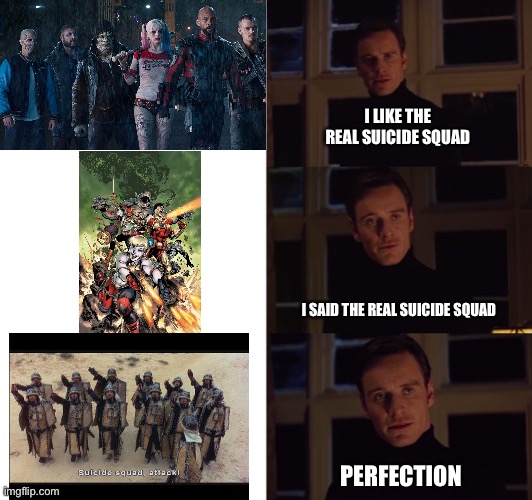 perfection | I LIKE THE REAL SUICIDE SQUAD; I SAID THE REAL SUICIDE SQUAD; PERFECTION | image tagged in perfection,Montypythonjokes | made w/ Imgflip meme maker