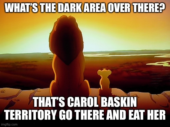 Lion King Meme | WHAT’S THE DARK AREA OVER THERE? THAT’S CAROL BASKIN TERRITORY GO THERE AND EAT HER | image tagged in memes,lion king | made w/ Imgflip meme maker