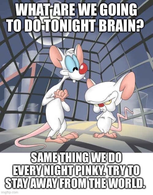 Pinky and the brain | WHAT ARE WE GOING TO DO TONIGHT BRAIN? SAME THING WE DO EVERY NIGHT PINKY. TRY TO STAY AWAY FROM THE WORLD. | image tagged in pinky and the brain | made w/ Imgflip meme maker
