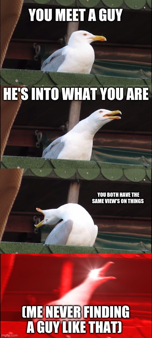 Inhaling Seagull Meme | YOU MEET A GUY; HE'S INTO WHAT YOU ARE; YOU BOTH HAVE THE SAME VIEW'S ON THINGS; (ME NEVER FINDING A GUY LIKE THAT) | image tagged in memes,inhaling seagull | made w/ Imgflip meme maker