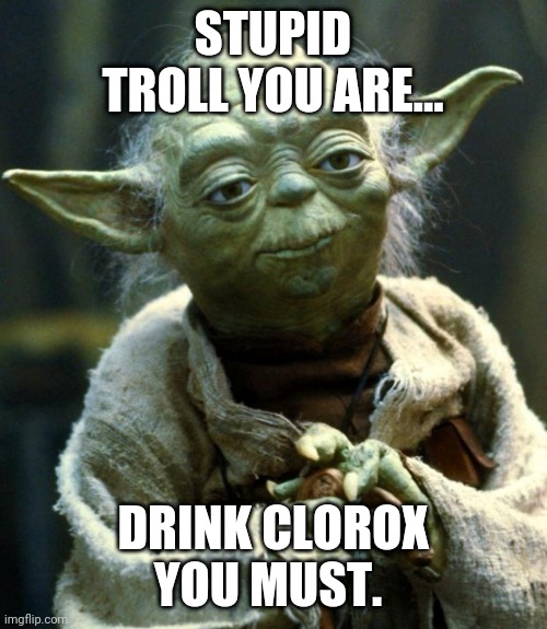 Star Wars Yoda | STUPID TROLL YOU ARE... DRINK CLOROX YOU MUST. | image tagged in memes,star wars yoda | made w/ Imgflip meme maker