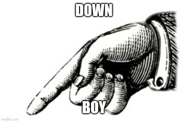 hand pointing down left | DOWN BOY | image tagged in hand pointing down left | made w/ Imgflip meme maker
