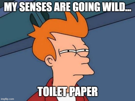 Futurama Fry | MY SENSES ARE GOING WILD... TOILET PAPER | image tagged in memes,futurama fry | made w/ Imgflip meme maker