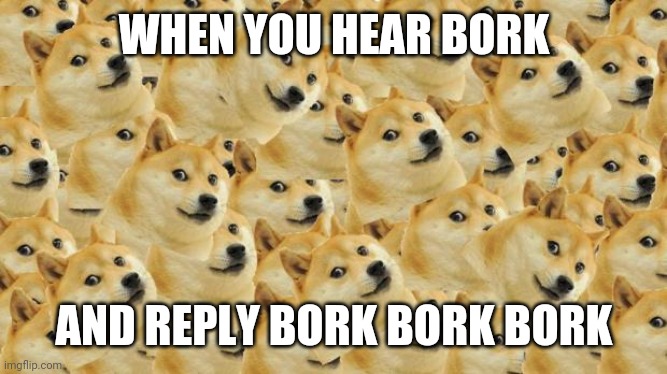 Multi Doge Meme | WHEN YOU HEAR BORK; AND REPLY BORK BORK BORK | image tagged in memes,multi doge | made w/ Imgflip meme maker