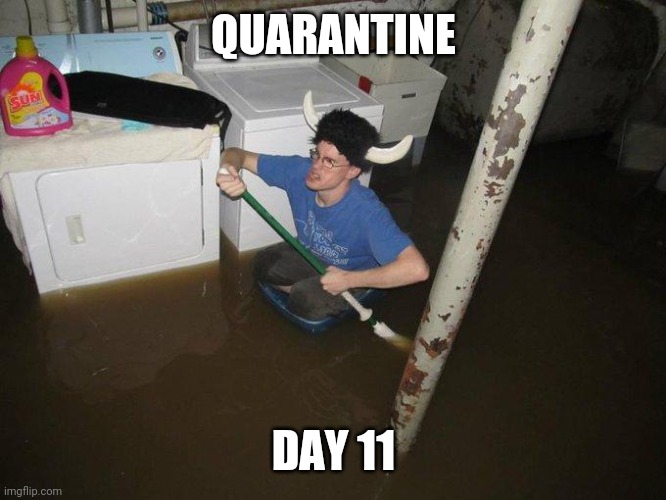 Laundry Viking Meme | QUARANTINE; DAY 11 | image tagged in memes,laundry viking | made w/ Imgflip meme maker