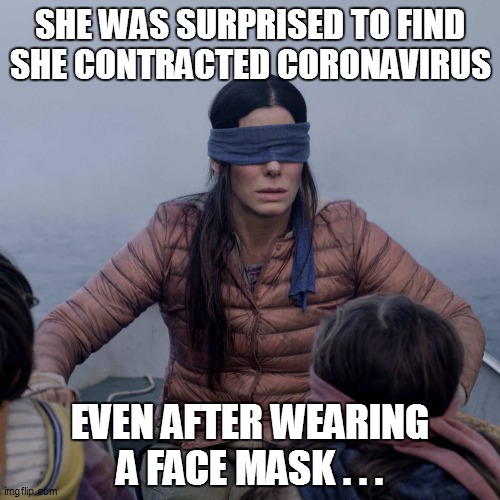 Bird Box Meme | SHE WAS SURPRISED TO FIND SHE CONTRACTED CORONAVIRUS; EVEN AFTER WEARING A FACE MASK . . . | image tagged in fun,funny,funny meme,funny memes,bad pun,bird box | made w/ Imgflip meme maker