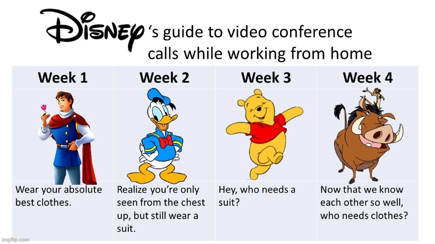 Disney guide to working from home | image tagged in disney guide to working from home | made w/ Imgflip meme maker