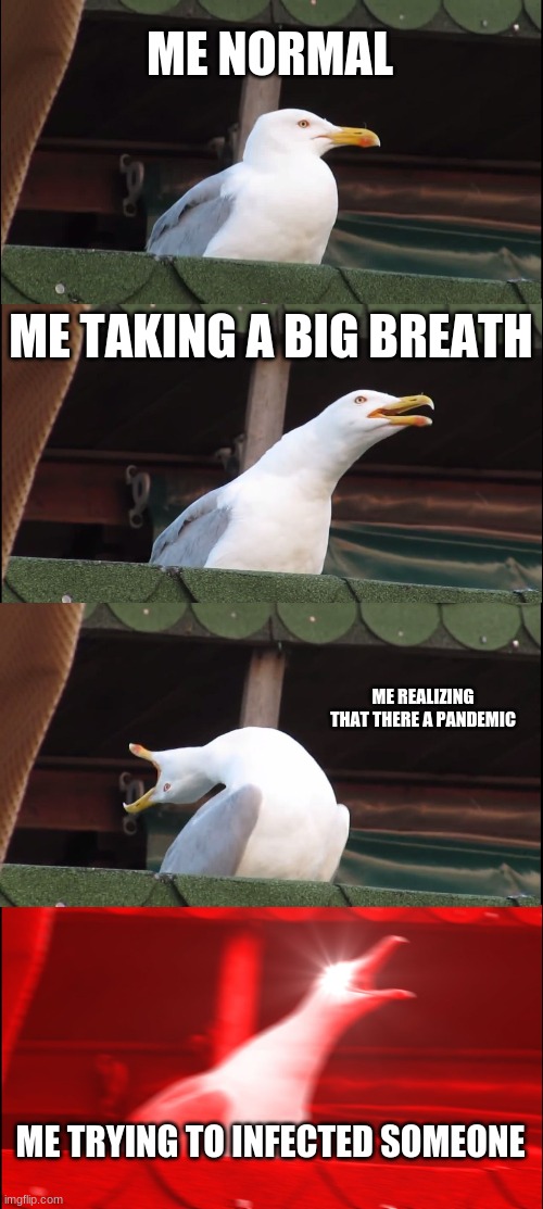 Inhaling Seagull Meme | ME NORMAL; ME TAKING A BIG BREATH; ME REALIZING THAT THERE A PANDEMIC; ME TRYING TO INFECTED SOMEONE | image tagged in memes,inhaling seagull | made w/ Imgflip meme maker