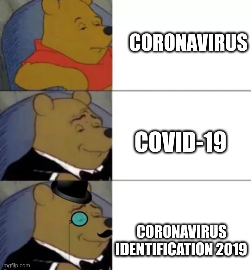 whinny the poo | CORONAVIRUS; COVID-19; CORONAVIRUS IDENTIFICATION 2019 | image tagged in whinny the poo | made w/ Imgflip meme maker