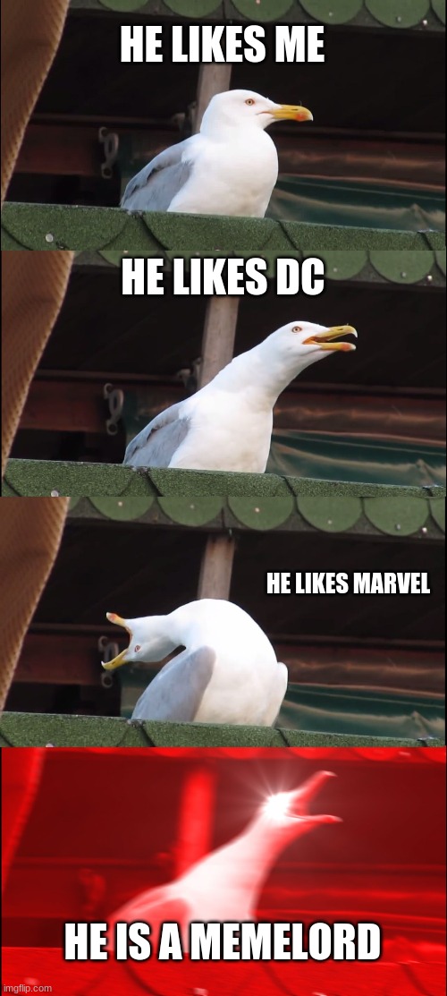 Inhaling Seagull | HE LIKES ME; HE LIKES DC; HE LIKES MARVEL; HE IS A MEMELORD | image tagged in memes,inhaling seagull | made w/ Imgflip meme maker
