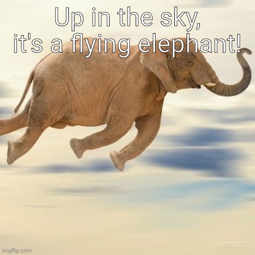 Flying Elephant | Up in the sky, it's a flying elephant! | image tagged in flying elephant | made w/ Imgflip meme maker