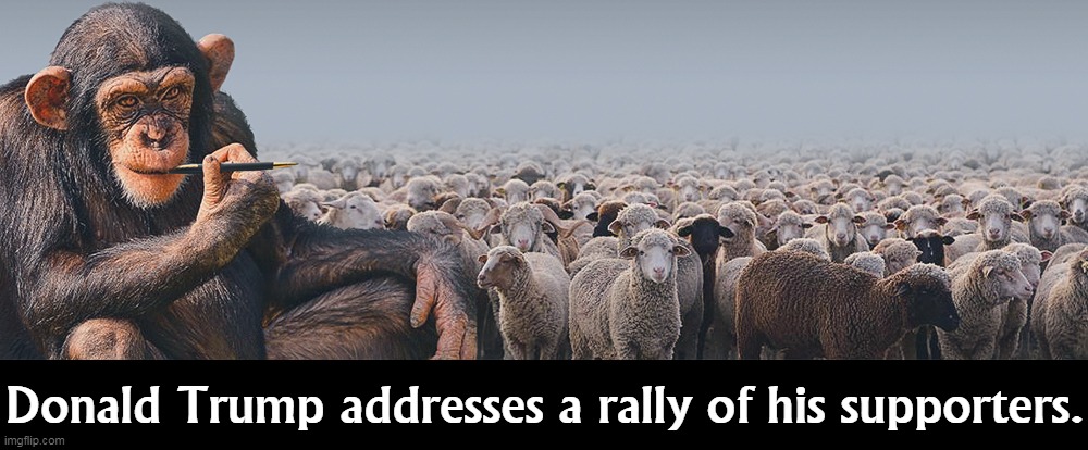 Baaaaa. | Donald Trump addresses a rally of his supporters. | image tagged in trump,voters,monkey,sheep,election 2020 | made w/ Imgflip meme maker