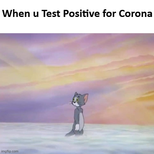 Tom | When u Test Positive for Corona | image tagged in tom | made w/ Imgflip meme maker