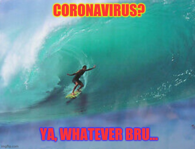 RIDE THE WILD SURF | CORONAVIRUS? YA, WHATEVER BRU... | image tagged in surfers,rule,u mad bro,crazy dawg,crazy bitch | made w/ Imgflip meme maker