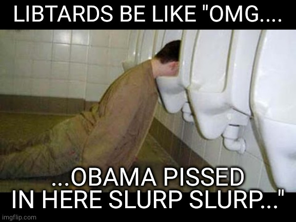 Urinal diver | LIBTARDS BE LIKE "OMG.... ...OBAMA PISSED IN HERE SLURP SLURP..." | image tagged in memes | made w/ Imgflip meme maker