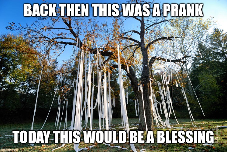 Toilet paper tree | BACK THEN THIS WAS A PRANK; TODAY THIS WOULD BE A BLESSING | image tagged in quarantine,coronavirus meme,coronavirus,no more toilet paper,mountain of toilet paper,toilet paper | made w/ Imgflip meme maker
