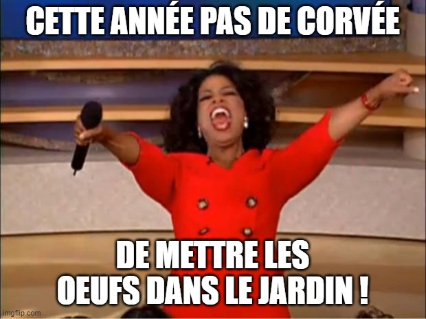 Oprah You Get A Meme | CETTE ANNÉE PAS DE CORVÉE; DE METTRE LES OEUFS DANS LE JARDIN ! | image tagged in memes,oprah you get a | made w/ Imgflip meme maker