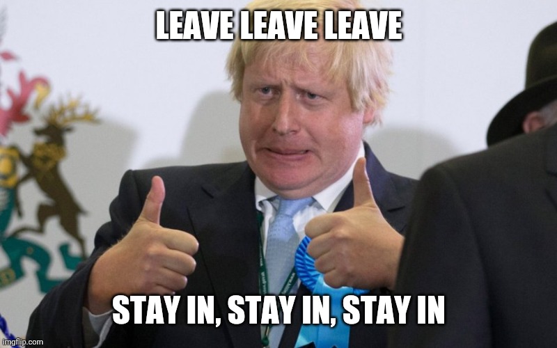 boris johnson | LEAVE LEAVE LEAVE; STAY IN, STAY IN, STAY IN | image tagged in boris johnson | made w/ Imgflip meme maker