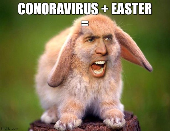 Bunny Nic Cage | CONORAVIRUS + EASTER
= | image tagged in bunny nic cage | made w/ Imgflip meme maker