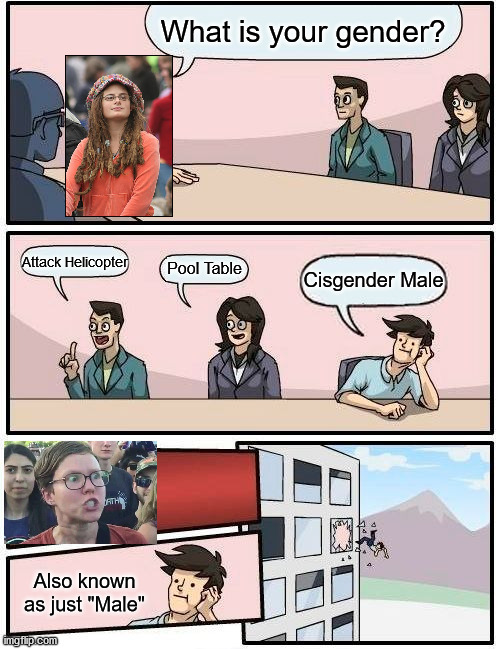 Our universities these days | What is your gender? Attack Helicopter; Pool Table; Cisgender Male; Also known as just "Male" | image tagged in memes,boardroom meeting suggestion | made w/ Imgflip meme maker