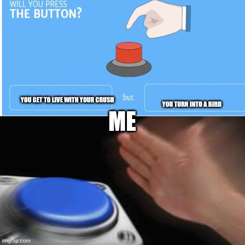 will you press the button Memes & GIFs - Imgflip