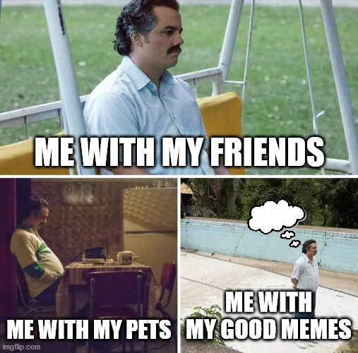 Sad Pablo Escobar Meme | ME WITH MY FRIENDS; ME WITH MY PETS; ME WITH MY GOOD MEMES | image tagged in memes,sad pablo escobar | made w/ Imgflip meme maker