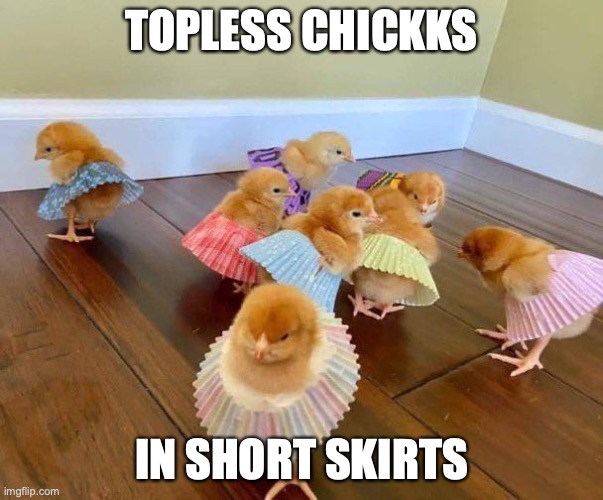 short skirts |  TOPLESS CHICKKS; IN SHORT SKIRTS | image tagged in topless,short skirt | made w/ Imgflip meme maker