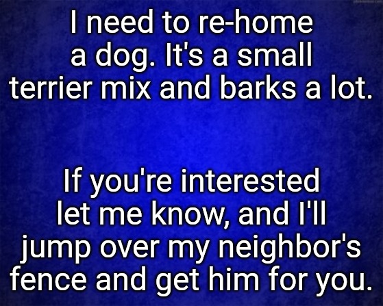 blue background | I need to re-home a dog. It's a small terrier mix and barks a lot. If you're interested let me know, and I'll jump over my neighbor's fence and get him for you. | image tagged in blue background | made w/ Imgflip meme maker