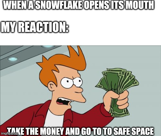 Shut Up And Take My Money Fry Meme | WHEN A SNOWFLAKE OPENS ITS MOUTH; MY REACTION:; TAKE THE MONEY AND GO TO TO SAFE SPACE | image tagged in memes,shut up and take my money fry,snowflakes,safe space | made w/ Imgflip meme maker