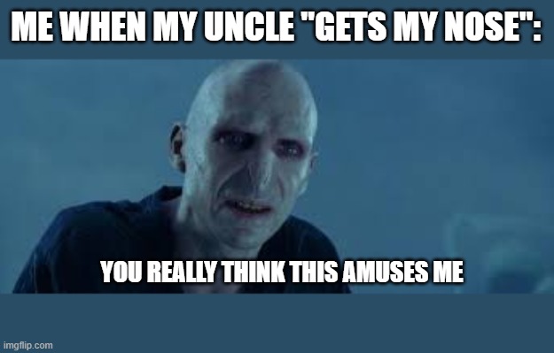 Voldemort meme | ME WHEN MY UNCLE "GETS MY NOSE":; YOU REALLY THINK THIS AMUSES ME | image tagged in voldemortsnonexistantnose,funny,fun | made w/ Imgflip meme maker