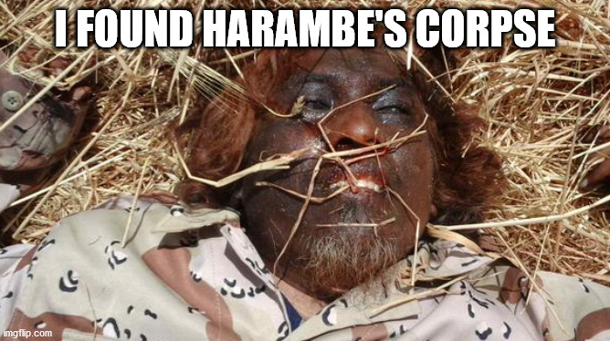 harambe's dead | I FOUND HARAMBE'S CORPSE | image tagged in harambe | made w/ Imgflip meme maker