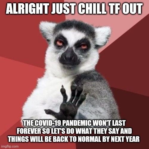 Chill Out Lemur Meme | ALRIGHT JUST CHILL TF OUT; THE COVID-19 PANDEMIC WON'T LAST FOREVER SO LET'S DO WHAT THEY SAY AND THINGS WILL BE BACK TO NORMAL BY NEXT YEAR | image tagged in memes,chill out lemur,covid-19 | made w/ Imgflip meme maker