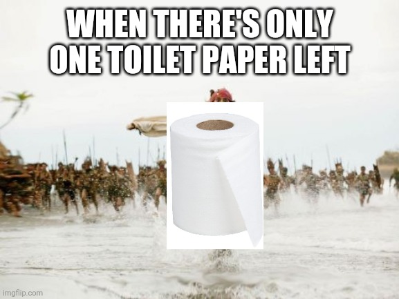 Jack Sparrow Being Chased Meme | WHEN THERE'S ONLY ONE TOILET PAPER LEFT | image tagged in memes,jack sparrow being chased | made w/ Imgflip meme maker