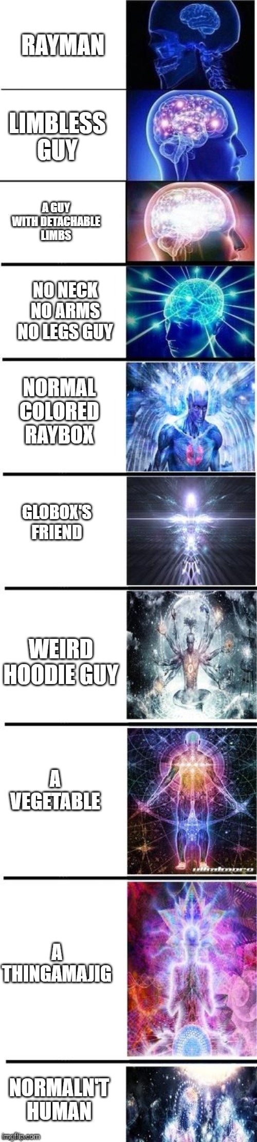 Expanding brain 10 panel | RAYMAN; LIMBLESS GUY; A GUY WITH DETACHABLE LIMBS; NO NECK NO ARMS NO LEGS GUY; NORMAL COLORED RAYBOX; GLOBOX'S FRIEND; WEIRD HOODIE GUY; A VEGETABLE; A THINGAMAJIG; NORMALN'T HUMAN | image tagged in expanding brain 10 panel | made w/ Imgflip meme maker