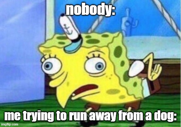 Mocking Spongebob Meme | nobody:; me trying to run away from a dog: | image tagged in memes,mocking spongebob | made w/ Imgflip meme maker