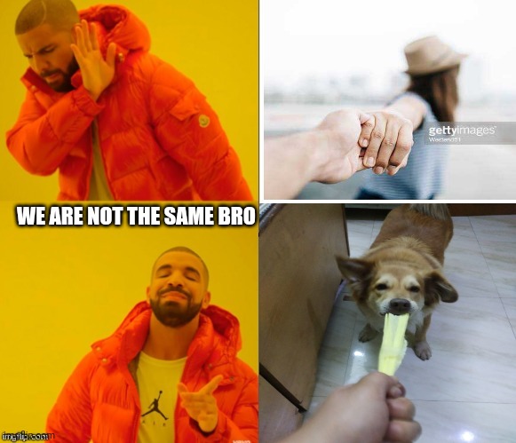 Yes no drake | WE ARE NOT THE SAME BRO | image tagged in yes no drake | made w/ Imgflip meme maker