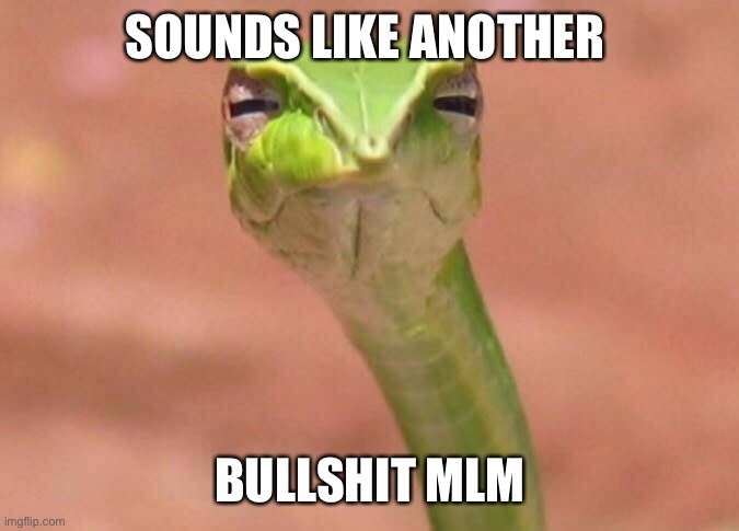 Skeptical snake | SOUNDS LIKE ANOTHER; BULLSHIT MLM | image tagged in skeptical snake | made w/ Imgflip meme maker