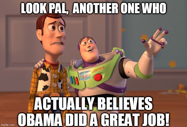 X, X Everywhere Meme | LOOK PAL,  ANOTHER ONE WHO ACTUALLY BELIEVES OBAMA DID A GREAT JOB! | image tagged in memes,x x everywhere | made w/ Imgflip meme maker