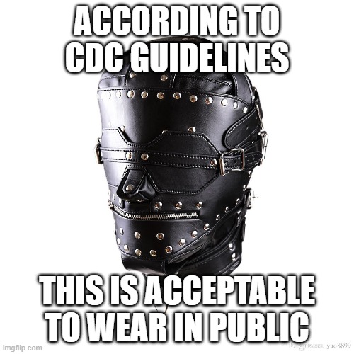 Gimp | ACCORDING TO CDC GUIDELINES; THIS IS ACCEPTABLE TO WEAR IN PUBLIC | image tagged in gimp | made w/ Imgflip meme maker