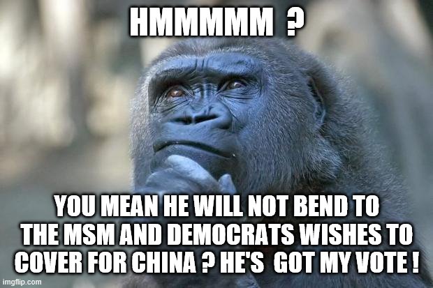 that is the question | HMMMMM  ? YOU MEAN HE WILL NOT BEND TO THE MSM AND DEMOCRATS WISHES TO COVER FOR CHINA ? HE'S  GOT MY VOTE ! | image tagged in that is the question | made w/ Imgflip meme maker