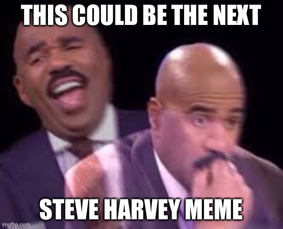 Steve Harvy | THIS COULD BE THE NEXT STEVE HARVEY MEME | image tagged in steve harvy | made w/ Imgflip meme maker