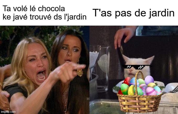 Woman Yelling At Cat Meme | Ta volé lé chocola ke javé trouvé ds l'jardin; T'as pas de jardin | image tagged in memes,woman yelling at cat | made w/ Imgflip meme maker