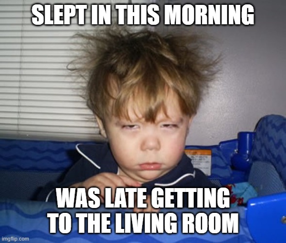 Baby Bedhead | SLEPT IN THIS MORNING; WAS LATE GETTING TO THE LIVING ROOM | image tagged in baby bedhead | made w/ Imgflip meme maker