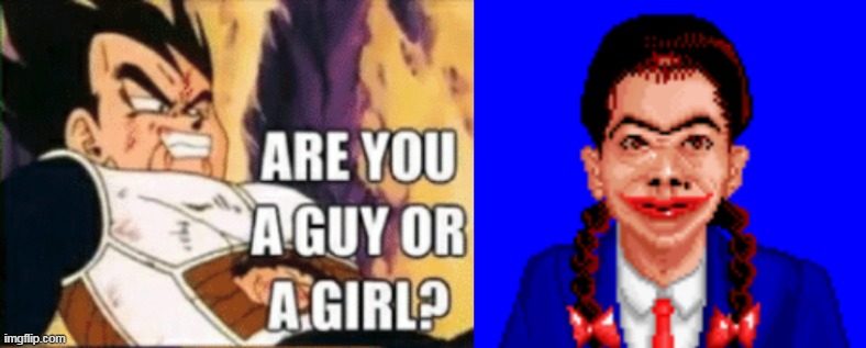 feminist? | image tagged in dragon ball z,vegeta | made w/ Imgflip meme maker